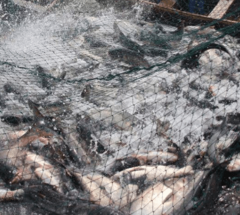 水产智慧养殖系统